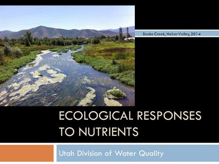 ECOLOGICAL RESPONSES TO NUTRIENTS Utah Division of Water Quality Snake Creek, Heber Valley, 2014.