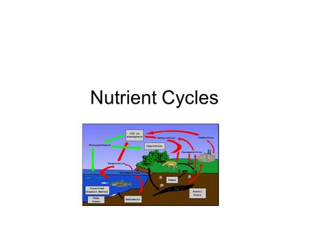 Nutrient Cycles.