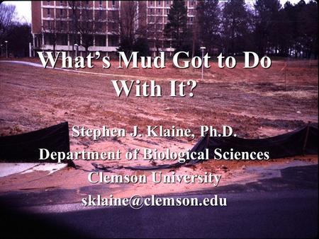 What’s Mud Got to Do With It? Stephen J. Klaine, Ph.D. Department of Biological Sciences Clemson University
