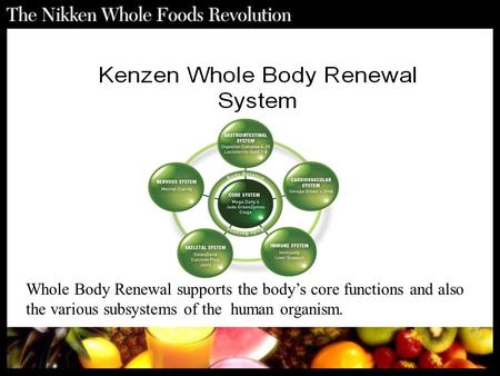 Whole Body Renewal supports the body’s core functions and also the various subsystems of the human organism.