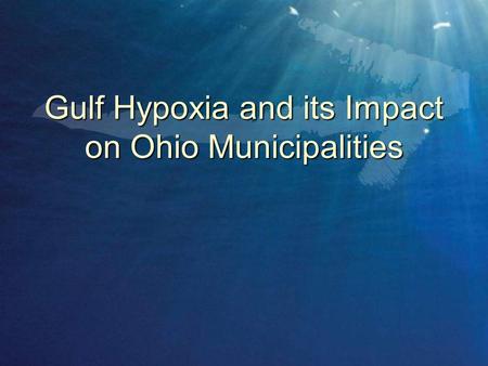 Gulf Hypoxia and its Impact on Ohio Municipalities.