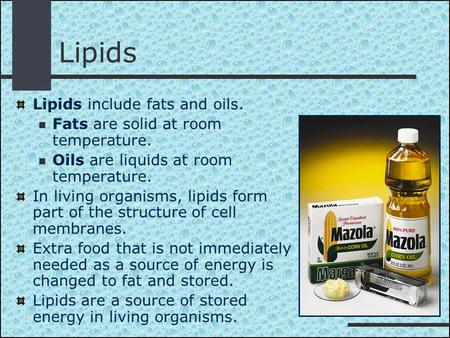 Lipids Lipids include fats and oils. Fats are solid at room temperature. Oils are liquids at room temperature. In living organisms, lipids form part of.