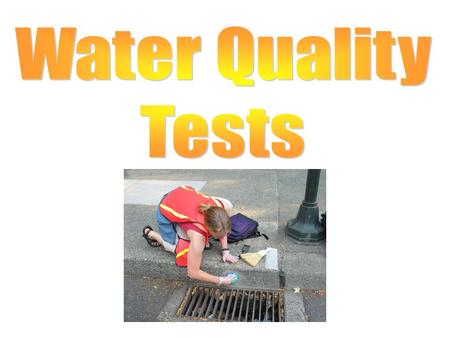 Water Quality Tests.