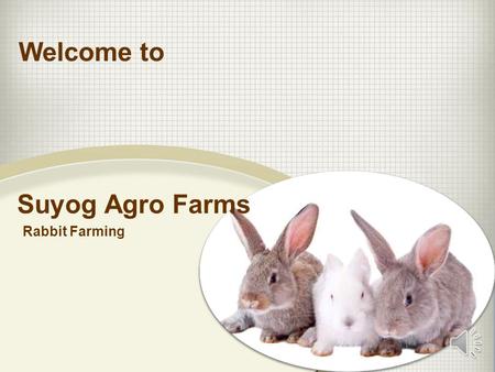 Suyog Agro Farms Rabbit Farming Welcome to How to Create Wealth EMPLOYEES SELF EMPLOYED BUSINESS OWNER INVESTORS Create Wealth Through Rabbit Farming.