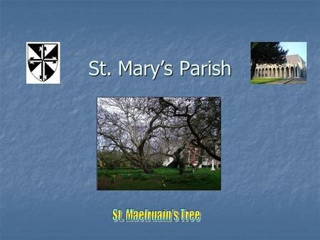 St. Mary’s Parish. Tallaght  Phone: 01 4048100