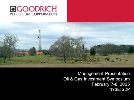 GPC Management Presentation Oil & Gas Investment Symposium February 7-8, 2005 NYSE: GDP.