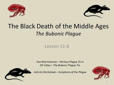 The Black Death of the Middle Ages The Bubonic Plague