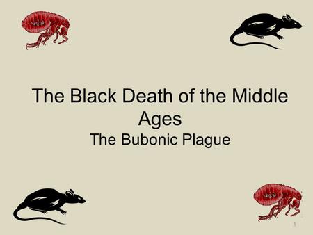 The Black Death. Key questions There are 3 questions that will be asked during the course of the lesson; 1.What is the “Black Death”? 2.What caused the. - ppt download