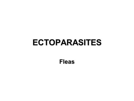 ECTOPARASITES Fleas. Flea Biology and Ecology Order: Siphonaptera Hind legs are adapted for jumping Adults are exclusively blood suckers (most are mobile,