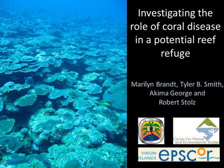 Marilyn Brandt, Tyler B. Smith, Akima George and Robert Stolz Investigating the role of coral disease in a potential reef refuge.