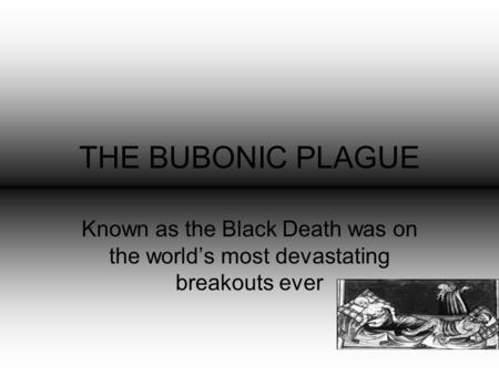 THE BUBONIC PLAGUE Known as the Black Death was on the world’s most devastating breakouts ever.