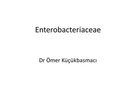 Enterobacteriaceae Dr Ömer Küçükbasmacı.