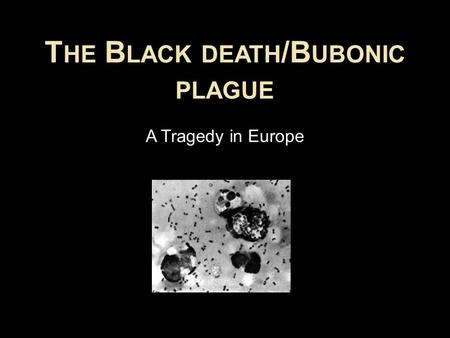 T HE B LACK DEATH /B UBONIC PLAGUE A Tragedy in Europe.