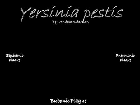 Yersinia pestis Bubonic Plague By: Andrea Robertson Septicemic Plague