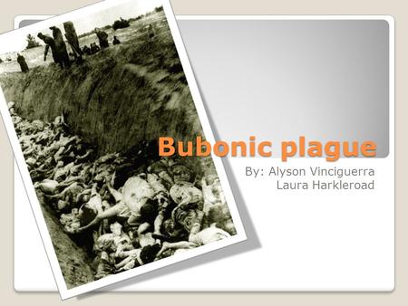 Bubonic plague By: Alyson Vinciguerra Laura Harkleroad.