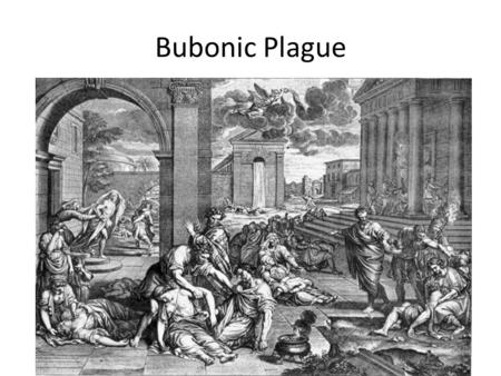Bubonic Plague.