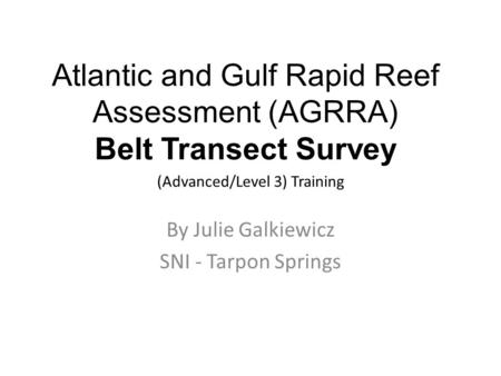 Atlantic and Gulf Rapid Reef Assessment (AGRRA) Belt Transect Survey (Advanced/Level 3) Training By Julie Galkiewicz SNI - Tarpon Springs.