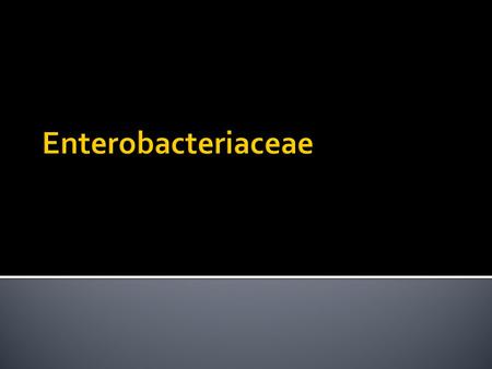 Enterobacteriaceae.