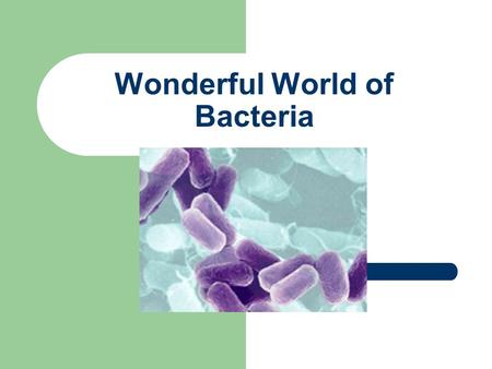 Wonderful World of Bacteria. The Cell The cell is a unit of organization Cells are classified as prokaryotes or eukaryotes Living things are classified.
