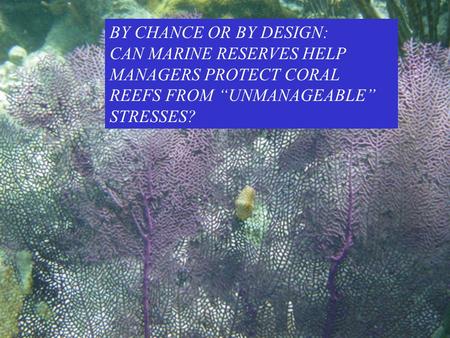 BY CHANCE OR BY DESIGN: CAN MARINE RESERVES HELP MANAGERS PROTECT CORAL REEFS FROM “UNMANAGEABLE” STRESSES?