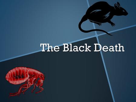 The Black Death. You must know! 1.What is the “Black Death”? 2.What caused the Black Death? 3.What were the consequences?