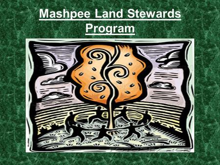 Mashpee Land Stewards Program. Goals of the Mashpee Conservation Department To protect our water resources, plant and wildlife habitat and to preserve.