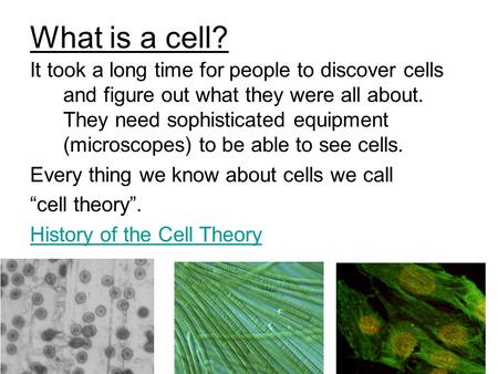 What is a cell? It took a long time for people to discover cells and figure out what they were all about. They need sophisticated equipment (microscopes)