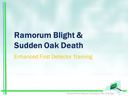 Ramorum Blight & Sudden Oak Death Enhanced First Detector Training.