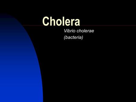 Cholera Vibrio cholerae (bacteria). Cholera Bacterium.