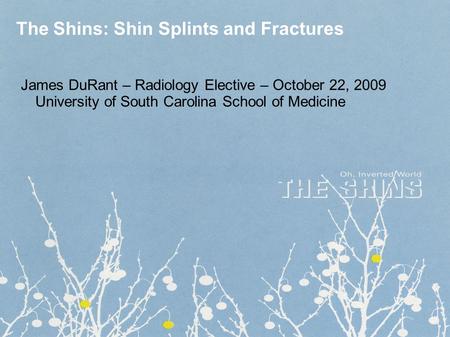 The Shins: Shin Splints and Fractures James DuRant – Radiology Elective – October 22, 2009 University of South Carolina School of Medicine.