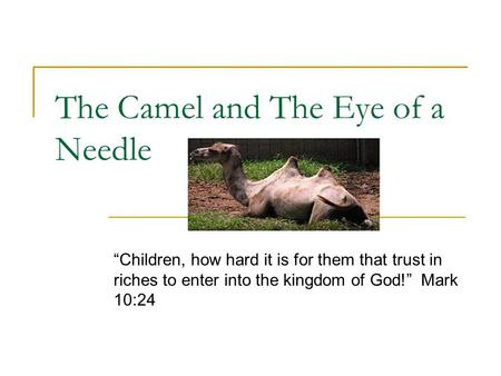The Camel and The Eye of a Needle “Children, how hard it is for them that trust in riches to enter into the kingdom of God!” Mark 10:24.