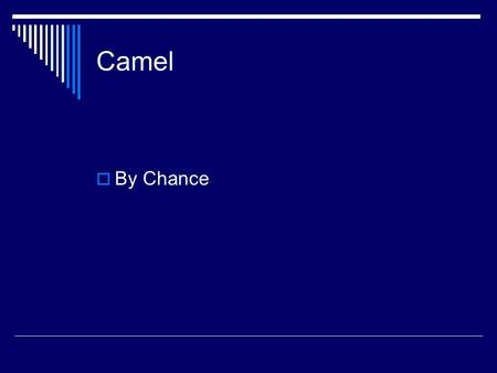 Camel  By Chance Habitat  They live in North and West Africa  Their home is the Desert  Doesn’t make home.