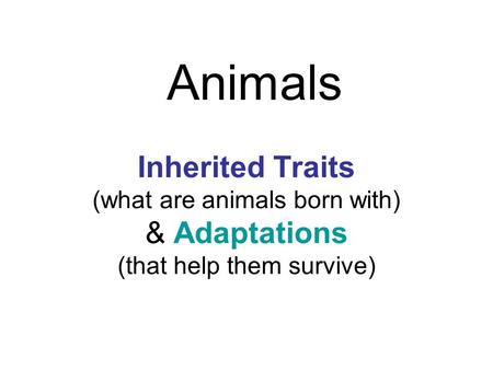 Animals Inherited Traits (what are animals born with) & Adaptations (that help them survive)