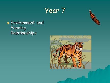 Year 7  Environment and Feeding Relationships. Objectives In today’s lesson you will learn:  About the different habitats organisms live in.  How to.