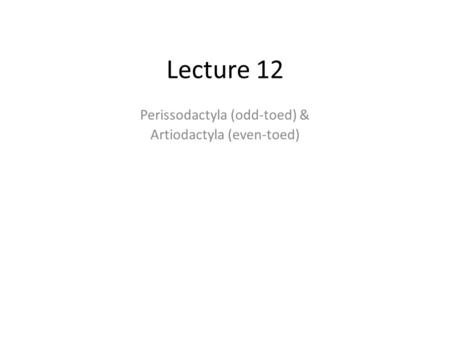 Lecture 12 Perissodactyla (odd-toed) & Artiodactyla (even-toed)