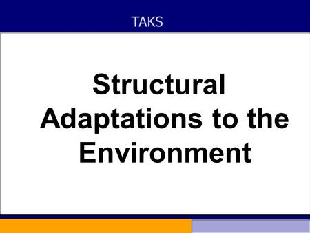 Structural Adaptations to the Environment TAKS. Structural adaptations to the environment Every species is uniquely adapted to its environment This ensures.