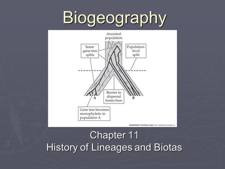Biogeography Chapter 11 History of Lineages and Biotas.
