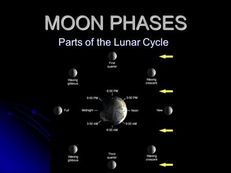Parts of the Lunar Cycle