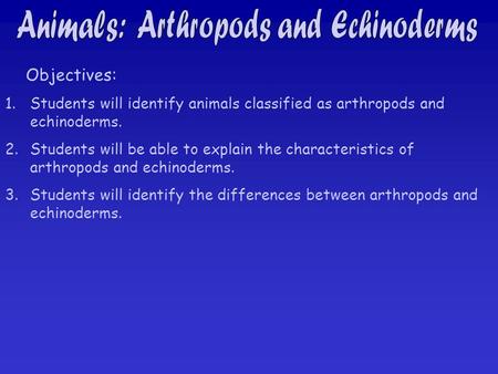 Animals: Arthropods and Echinoderms