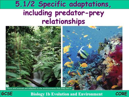 5.1/2 Specific adaptations, including predator-prey relationships