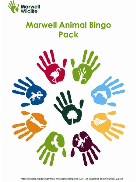 Marwell Animal Bingo Pack. Teachers’ Instructions Introduction This bingo game is designed to help you make the most of your visit to Marwell Wildlife,