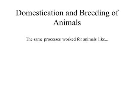 Domestication and Breeding of Animals The same processes worked for animals like...