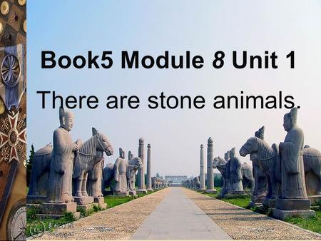 There are stone animals. Book5 Module 8 Unit 1.