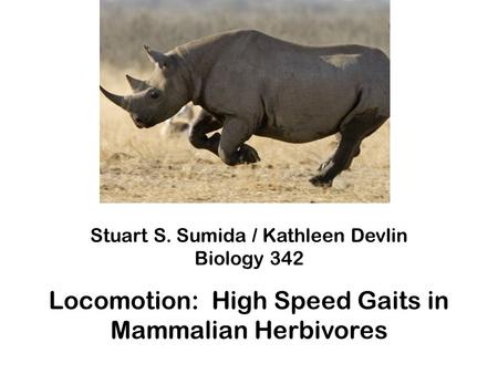 Stuart S. Sumida / Kathleen Devlin Biology 342 Locomotion: High Speed Gaits in Mammalian Herbivores.