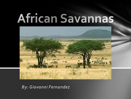 By: Giovanni Fernandez. Elephant Grass Producer Zebra 1 st consumer African lion 2 nd consumer Food chain.