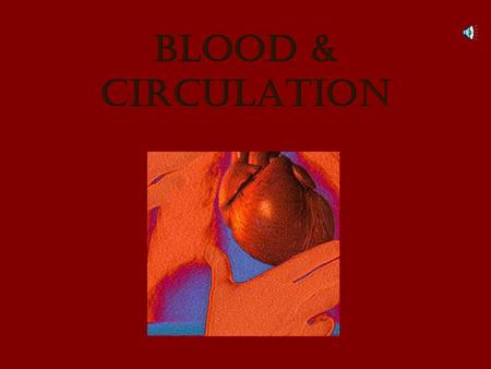 Blood & circulation Circulation  Your body resembles a large roadmap, There are routes or “arteries” that take you downtown to the “heart” of the city.