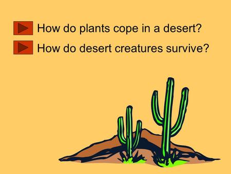 How do plants cope in a desert? How do desert creatures survive?