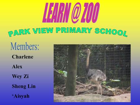 Charlene Alex Wey Zi Sheng Lin ‘Aisyah Quit The Zoo As My Classroom Movement Habitats Body Coverings Diet Adaptation.