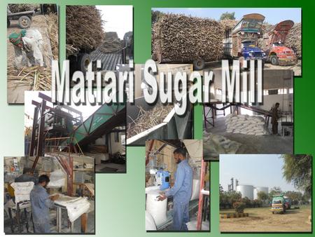 Matiari Sugar mill Visit 15-1-2012. The visit of Matiari Sugar mill had started from the morning of Saturday 15th January, 2012. After reaching the Matiari.