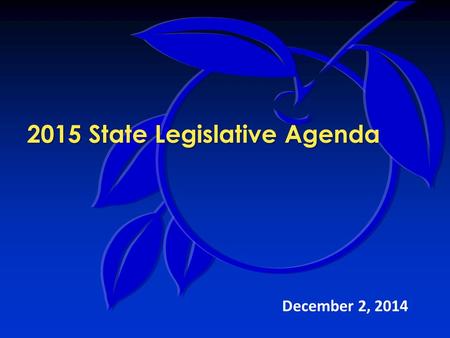 2015 State Legislative Agenda December 2, 2014. 2015 Legislative Agenda Legislative Team Mission:  Identify proposals that impact the county’s provision.